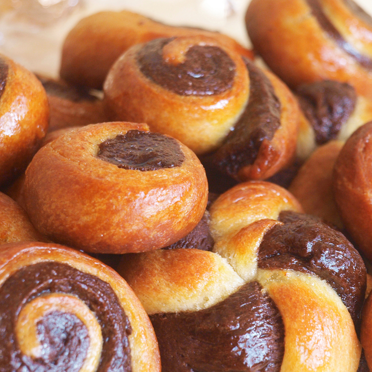 Holiday Recipes